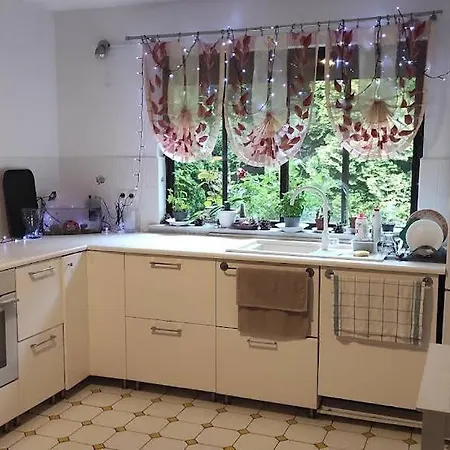 Ochota Forest Warsaw