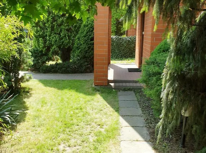 Ochota Forest * Warsaw