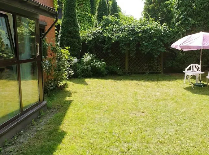 Ochota Forest Guest house *