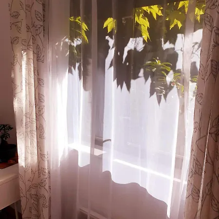 Ochota Forest 게스트하우스 *
